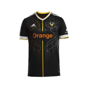 Maillot vitality Pro 2021 - Taille S (shop.vitality.gg)