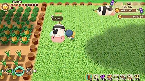 Story Of Seasons Friends Of Mineral Town sur PS4