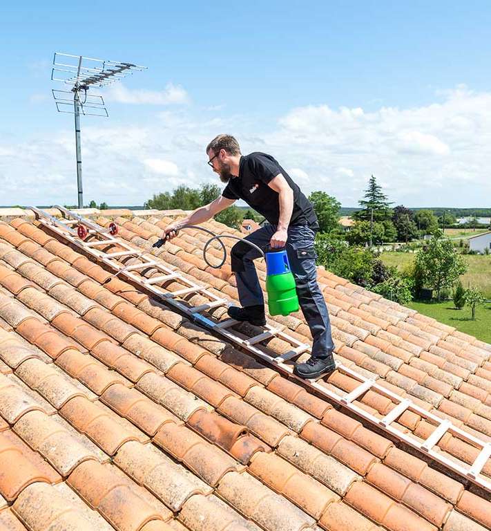 Echelle de toit en bois avec crochet faîtage alu Hailo Safety Roof - 5 mètres (hailo-shop.fr)