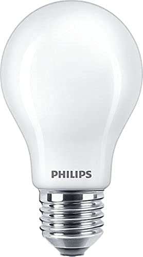 Ampoule LED Philips E27 - 100W