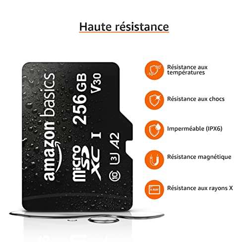 Carte mémoire MicroSDXC Amazon Basics - 256 Go, avec adaptateur SD