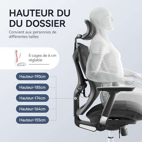 Chaise de bureau SIHOO ergonomique (Vendeur tiers)