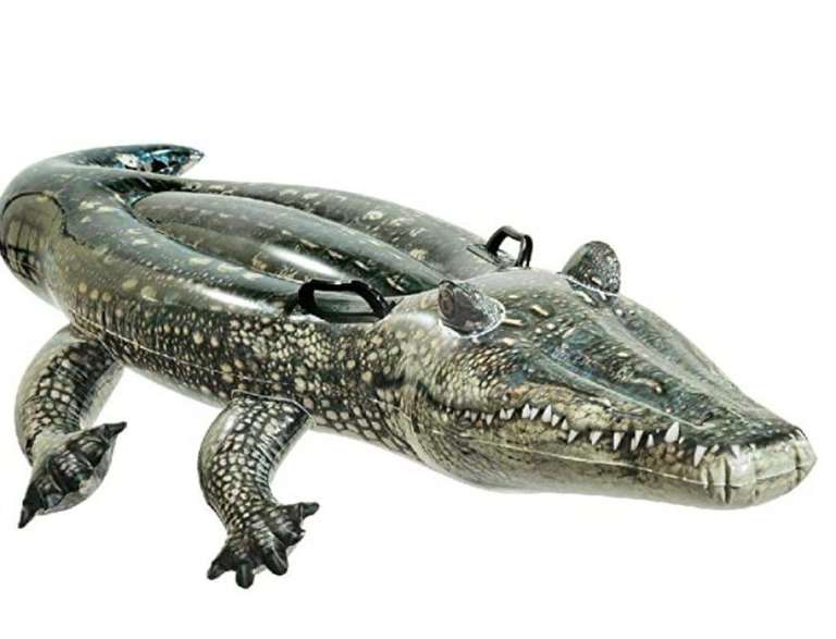 Bouée Alligator Intex
