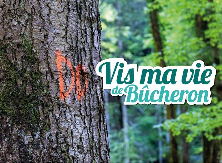 [Vis ma vie de bûcheron] Visites guidées pédagogiques gratuites de Chantiers Forestiers (sur réservation) - Auvergne-Rhône-Alpes