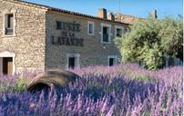 Entrée gratuite pour les mamans au musée de la lavande Luberon - Coustellet (84)
