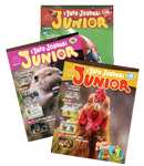 Abonnement au magazine l'info-journal junior pour Enfant gratuit - fbbjunior.com