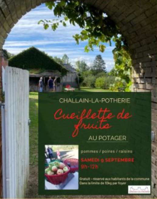 [Habitants] Cueillette Gratuite de Pommes, Poires & Raisins - Challain-la-Potherie (49)
