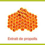 Eco-Recharge Palmolive Savon liquide Propolis -250 ml (Via Abonnement Prévoyez et Économisez)