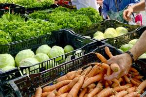 Distribution gratuite de légumes - Limoges (87)
