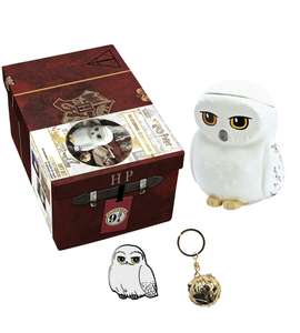 Coffret cadeau Harry Potter : Mug 3D Hedwige + Porte clés Vif d'Or + Pins