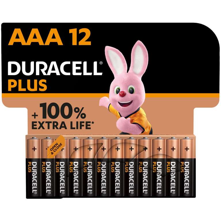 Lot de 24 Pile Alcaline AA Plus 100 % - 24 unités - Duracell