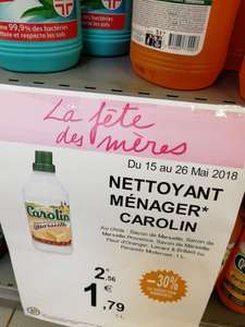 Nettoyant ménager Carolin (1l) variétés au choix - Poitiers (86)