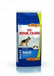 Croquette Royal Canin maxi adulte 15+3kg