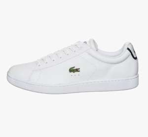 Baskets Basses Lacoste Carnaby Evo