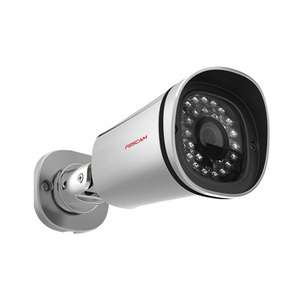 Caméra IP HD extérieure infrarouge – Foscam FI9901EP – Argent