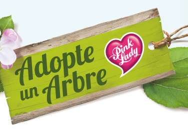 Parrainage d’un pommier : Goodies Pink Lady offerts + Récolte de pomme gratuite (adopteunarbre-pinklady.fr)