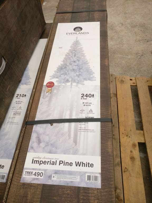 Sapin de Noël Imperial Pine White Everland - 240 cm - Vegetalis Hyères (83)