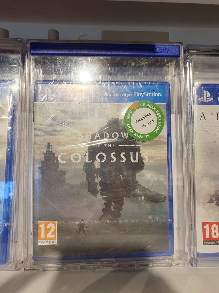 Shadow of the Colossus sur PS4 - Biganos (33)