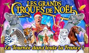 Place en tribune d'honneur, Cirque Medrano, valable dans 10 villes jusqu'au 5 janv. 2020 - Ex : Les stars du cirque et de la glace, Nantes