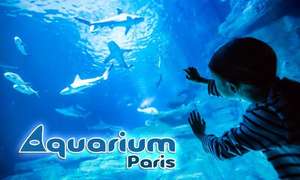Visite nocturne Adulte pour l'Aquarium de Paris avec une coupe de champagne - Paris (75)