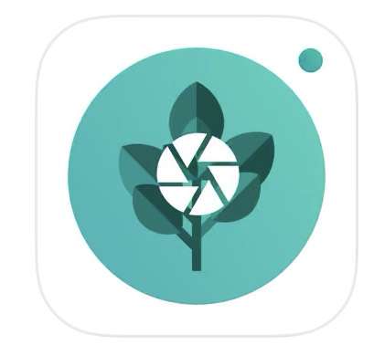 Application PlantFinder gratuite sur iOS