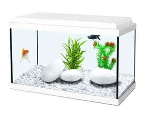 Aquarium Zolux Nanolife Kidz - 18L, 40 x 20 x 25 cm, Blanc