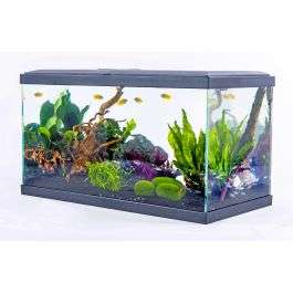 Aquarium Inwa Confort 60 - 60 x 30 x 33,50 cm (Retrait magasin uniquement)