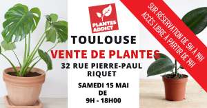 Sélection de plantes en vente à partir de 1€ - Plantes Addict Toulouse (31)
