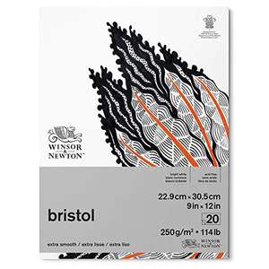 Lot de 20 feuilles papier Bristol Bloc Winsor & Newton - 250g, 22,9 x 30,5 cm