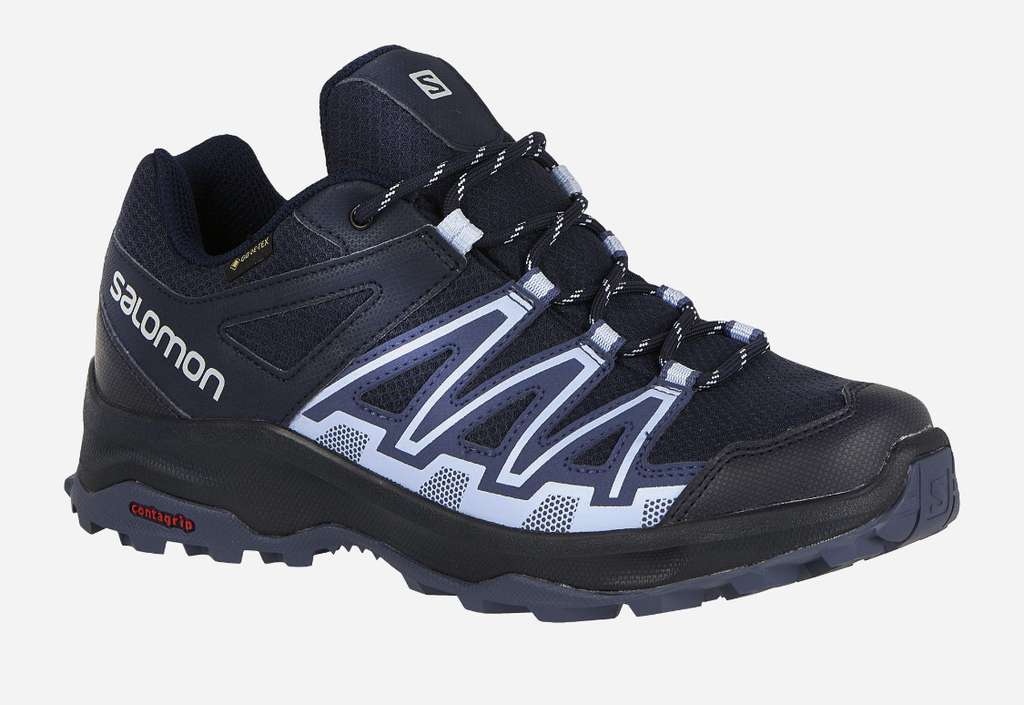 Chaussures de randonnée Salomon Leonis GTX