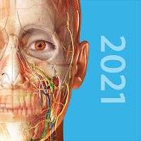 Atlas d'anatomie humaine 2021 : Corps entier en 3D Sur Android & iOS