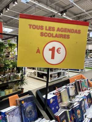 Sélection d'Agendas Scolaires 2021/2022 à 1€ - Nice Lingostière (06)