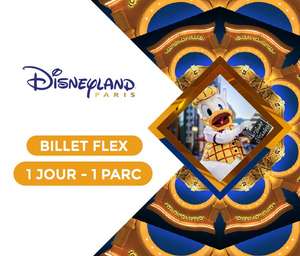 [Etudiants - Carte ISIC] E-Billet Adulte Disneyland Paris - 1 Jour / 1 Parc (isic.fr)