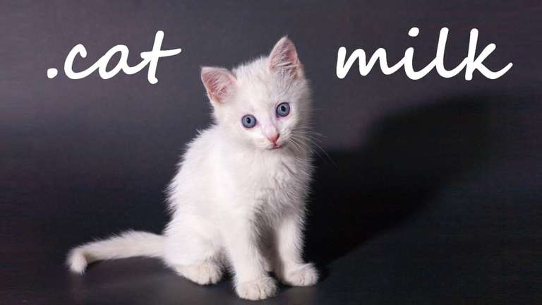 Jeu .cat Milk sur Nintendo Switch (Dématérialisé - eShop Canada)