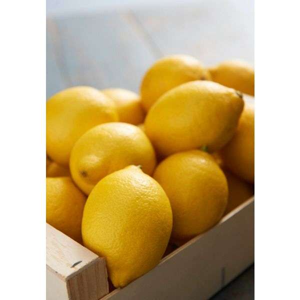 Filet de Citrons Jaunes - Origine Espagne, 1.2 Kg