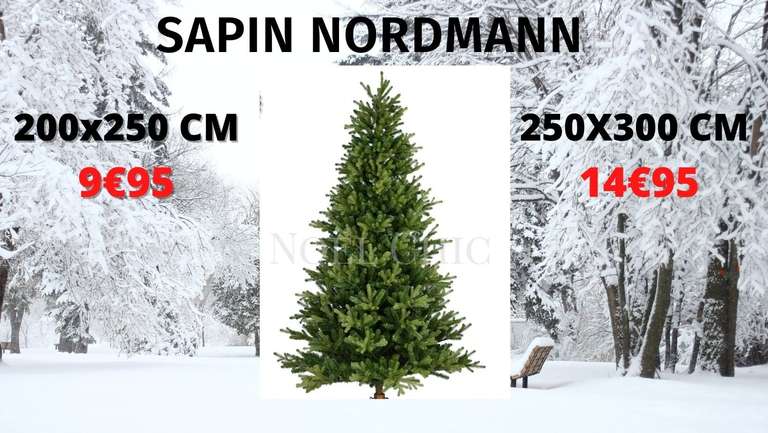 Sapin Nordmann - 200x250 cm à 9.95€ ou 250x300 cm à 14.95€ - Saint-Ouen-l'Aumône (95)