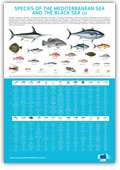 Posters poissons de mer et d'aquaculture gratuits