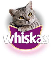 Echantillon gratuit des Irrésistibles de Whiskas pour votre chat
