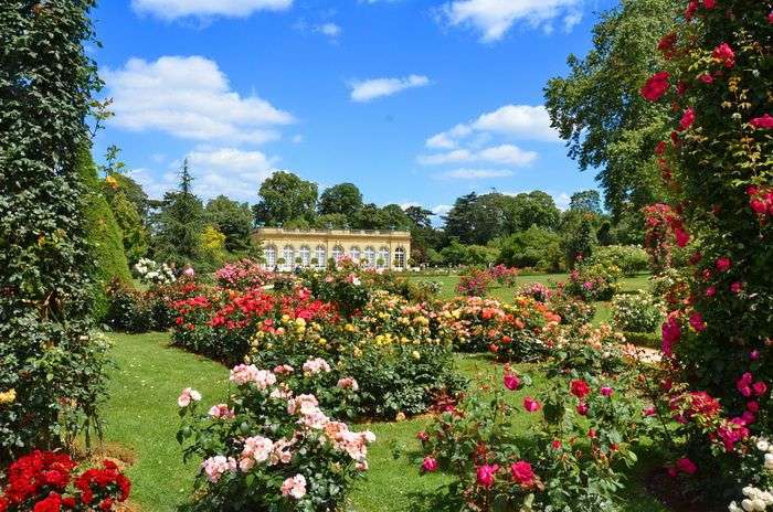 Accès gratuit au Parc Floral et au Parc Bagatelle du 1er octobre au 31 mars - Paris (75)