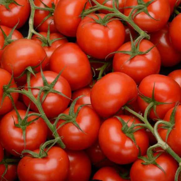 Tomates Rondes en Grappe - 1Kg, Origine France, Catégorie 1