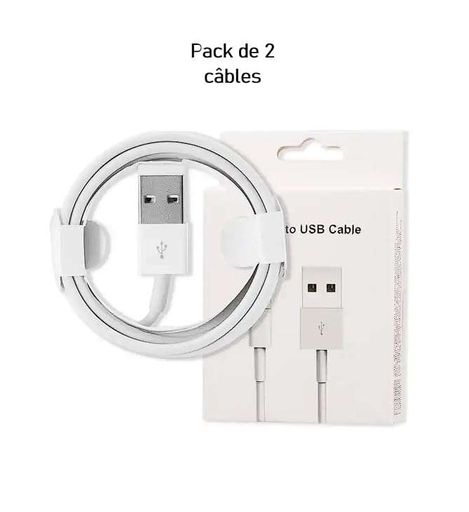 Chargeur GEEK MONKEY secteur USB-A 2.1 + câble IPhone Lightning - 1 mètre -  Blanc