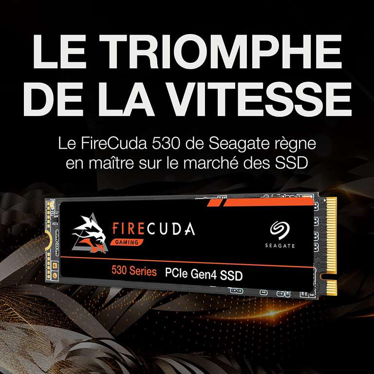 SSD interne M.2 NVMe Seagate Firecuda 530 - 1 To, 7300Mo/s, 6000Mo/s lecture écriture