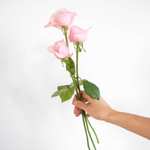 Distribution gratuite de Roses à l’occasion de la Fête des mères - Différentes villes