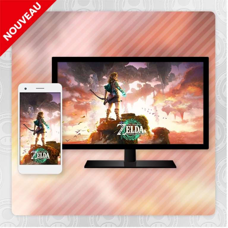 Fonds d'écran The Legend of Zelda Tears of the Kingdom Gratuits pour PC, Smartphones, Tablettes (Dématérialisé)