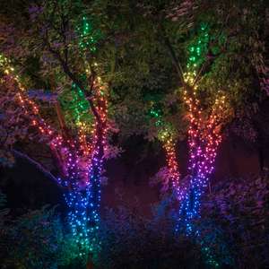 Guirlande lumineuse connectée Twinkly - 20m, 250 LEDs, RGB