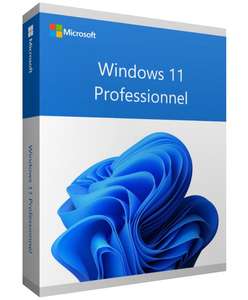 Licence Windows 11 Pro - clé d'activation produit (destock-informatique.com)
