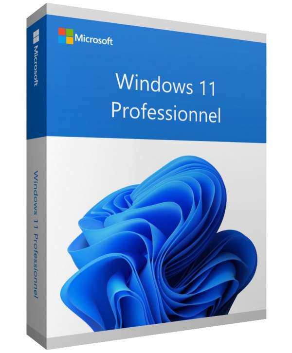 Windows 11 Pro avec USB Professionnel + Clé de licence, ce n'est pas WINDOWS  10 Pro - AliExpress