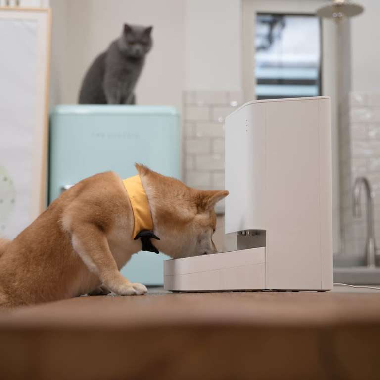 Distributeur de nourriture Animaux Xiaomi Smart Pet Food Feeder + Fontaine à eau Smart Pet Fountain