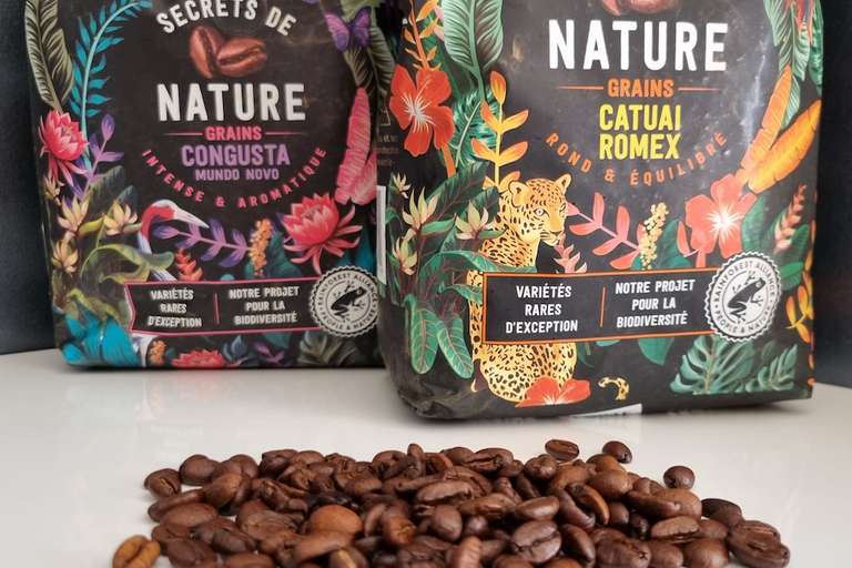 Café en grains Carte Noire Secrets de Nature - 1kg –