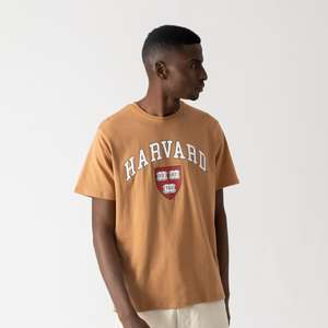 T-shirt Harvard - Homme (S et M) - Marron